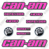 Image of Can-Am Defender XT HD10 Decal Kit UTV - Custom Pink! - Aftermarket Kit